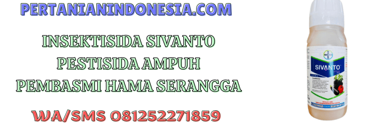 insektisida,sivanto,sivanto insektisida,pestisida,pertanian indonesia